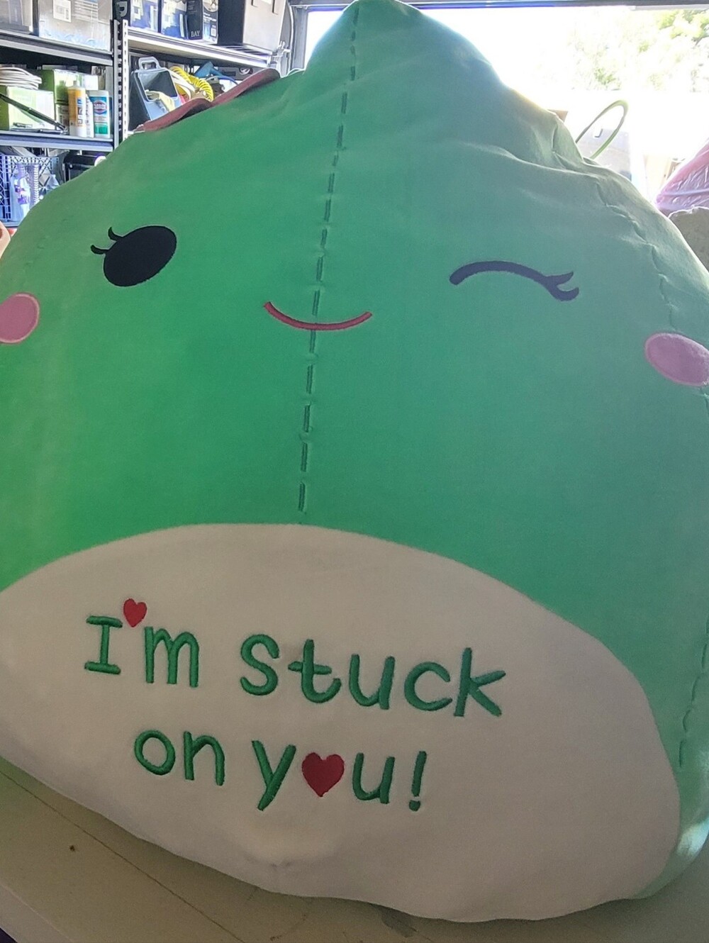 Plush Green 'I'm Stuck on You' Decorative Pillow - Brand